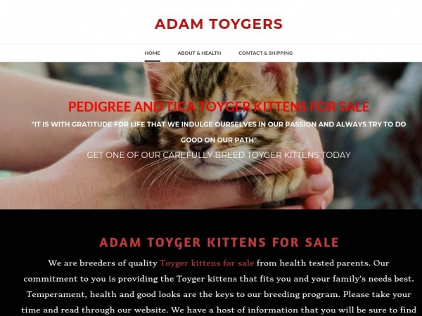 adamtoygers.company.com
