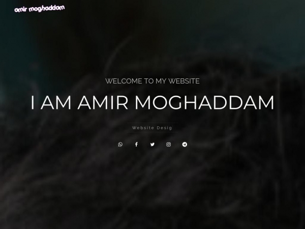 amirmoghaddam.com