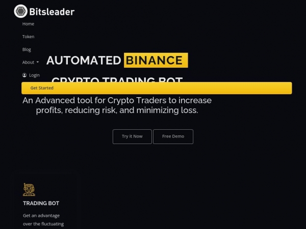 bitsleader.com