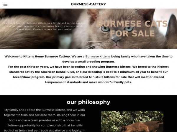 burmese-cattery.company.com