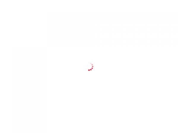 solomat.net
